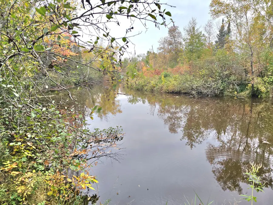 TBD 170th Lane, Pliny, MN 56350 - #2