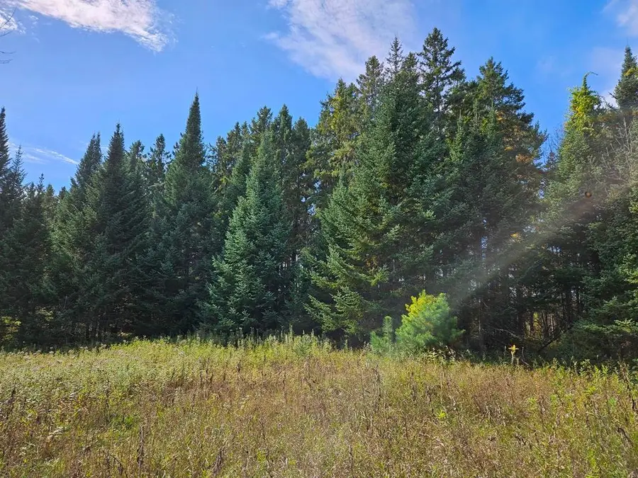 Lt 3 Blk 1 County Rd 238, Deer River, MN 56636 - #2
