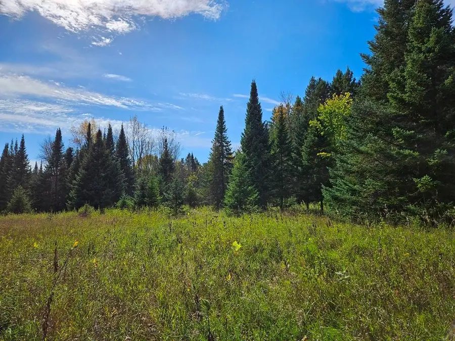Lt 3 Blk 1 County Rd 238, Deer River, MN 56636 - #3