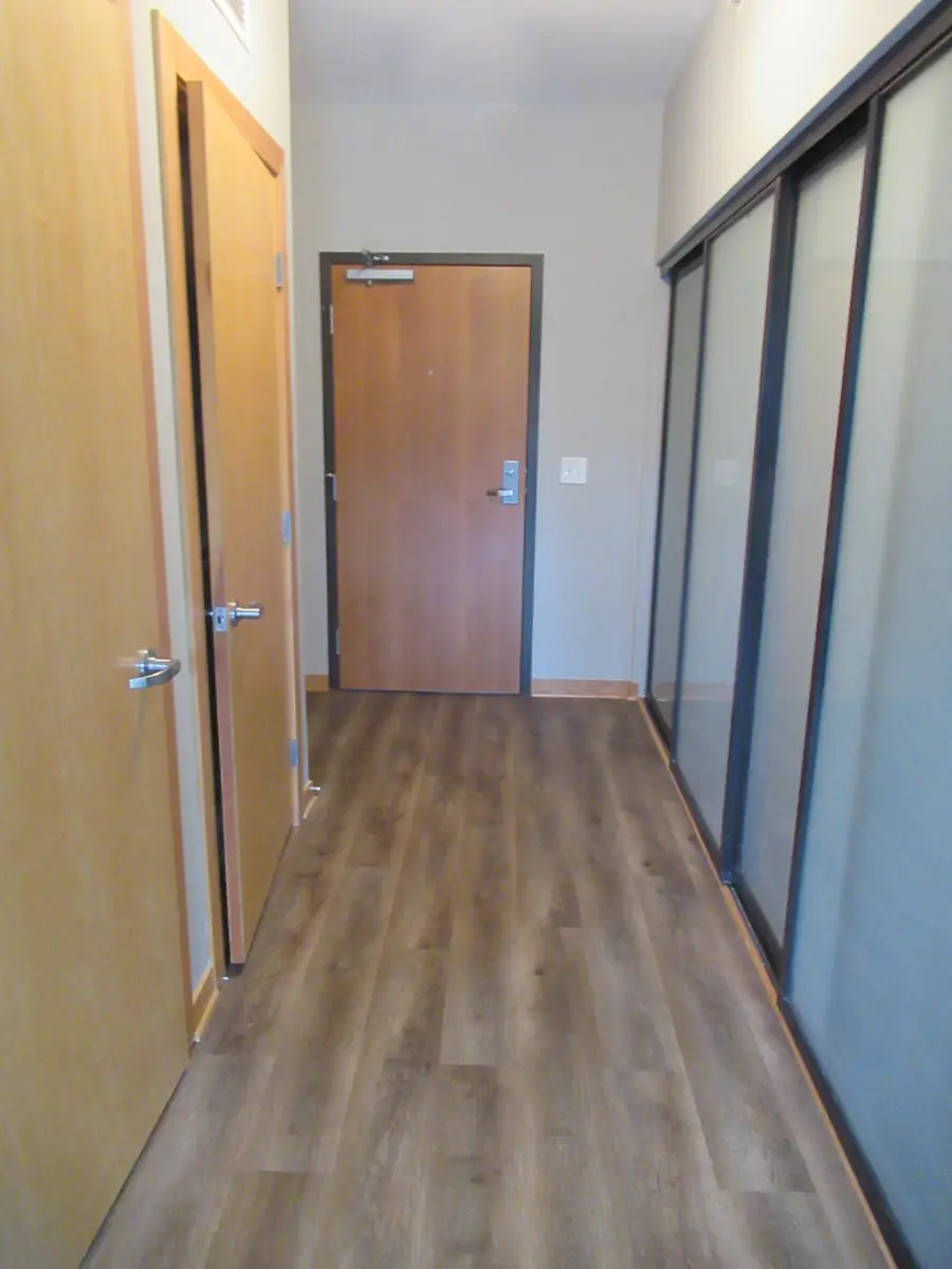 15 E Franklin Avenue #313, Minneapolis, MN 55404 - #2