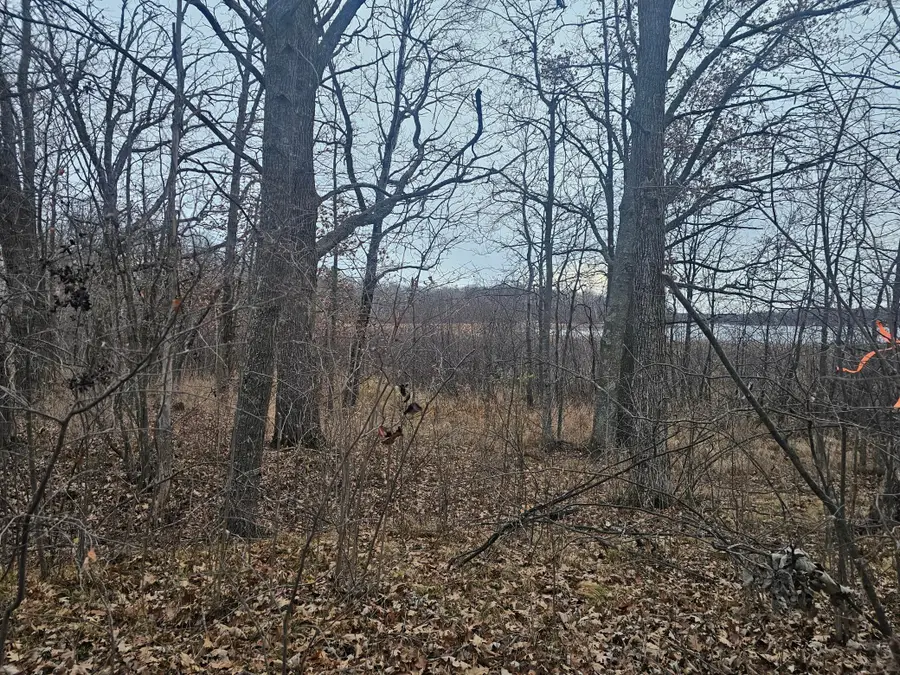 TBD County Road 30, Aitkin, MN 56431 - #3