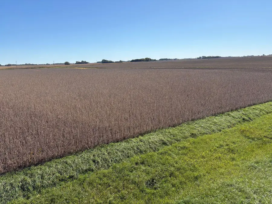 TBD 540th Avenue, Wells, MN 56097 - #3
