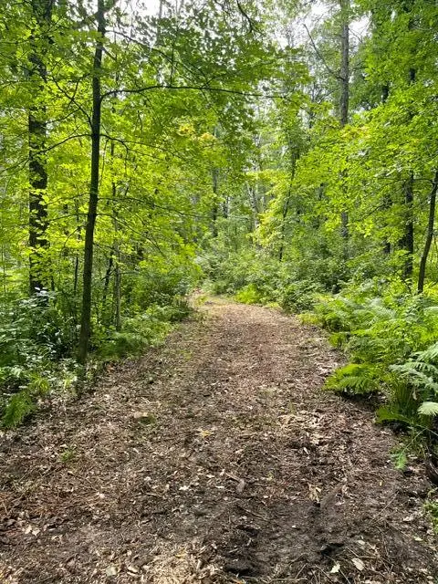 TBD Lacy Lane Sw, Pequot Lakes, MN 56472 - #2