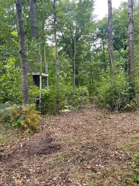 TBD Lacy Lane Sw, Pequot Lakes, MN 56472 - #3
