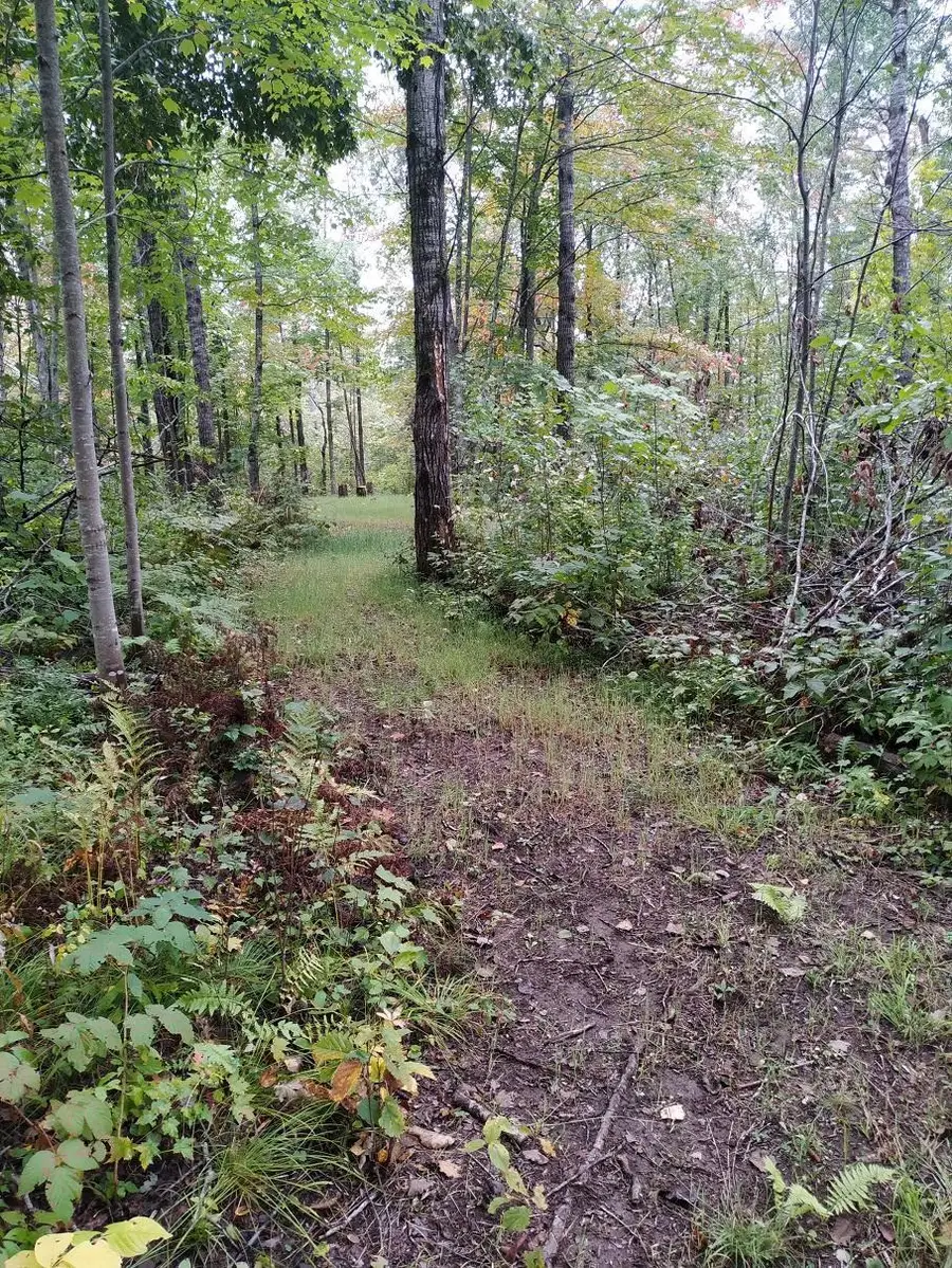 56723 Duncan Road, Sandstone, MN 55072 - #2