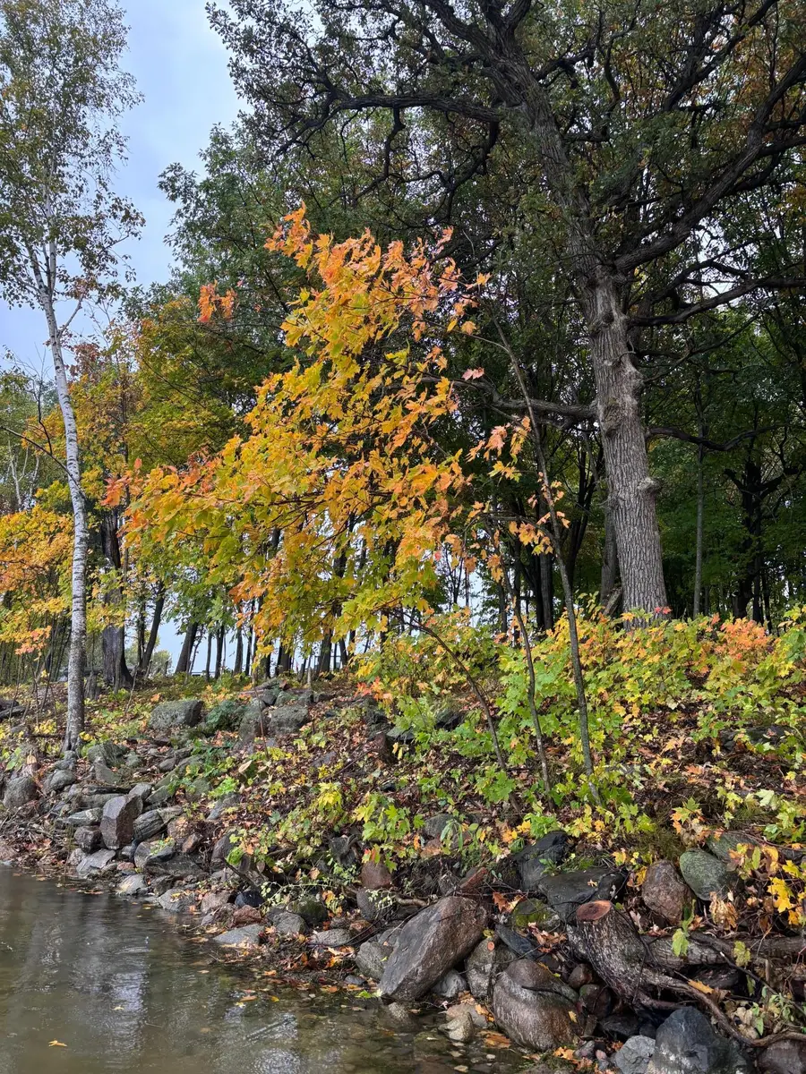 Lot 7 Blk 1 Serenity Lane Sw, Alexandria, MN 56308 - #2