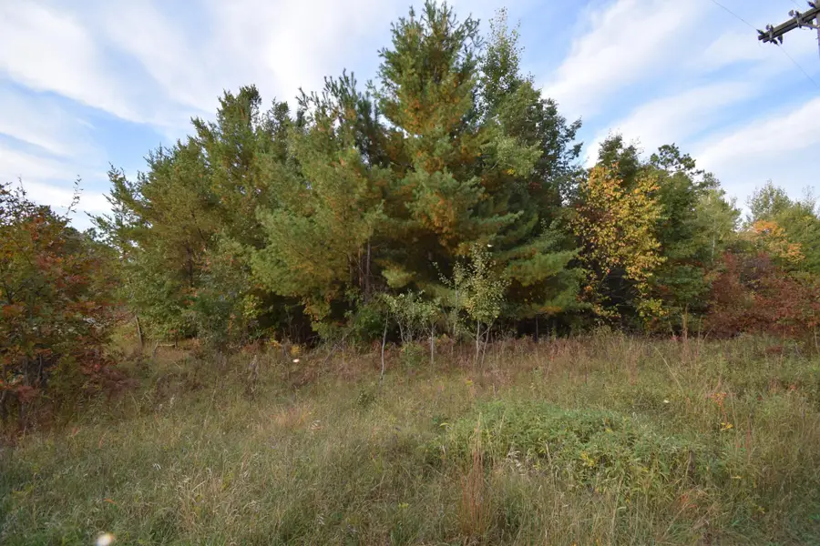 Lots 5-7 S First Avenue, Danbury, WI 54830 - #3
