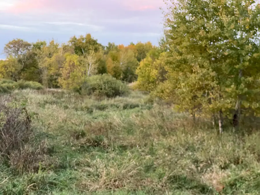000 Holly Rd, Pine City, MN 55063 - #2