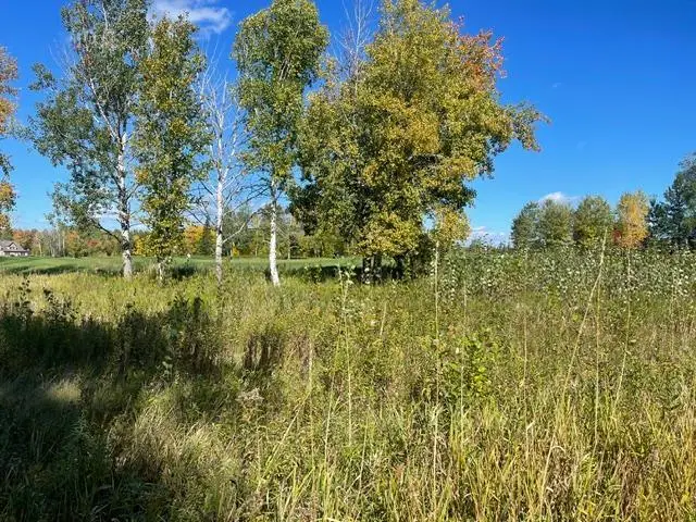 TBD 471st Ln, McGregor, MN 55760 - #1