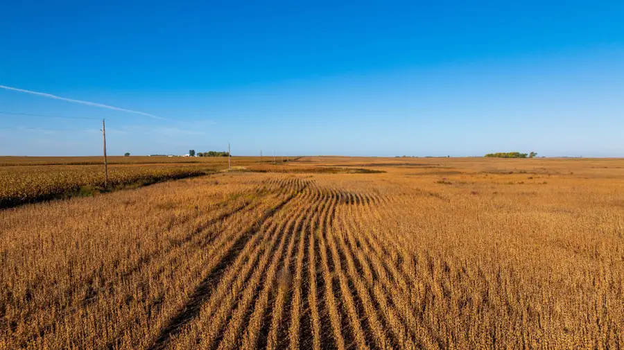 TBD 46 St Se Lot 2, Alice, ND 58031 - #2