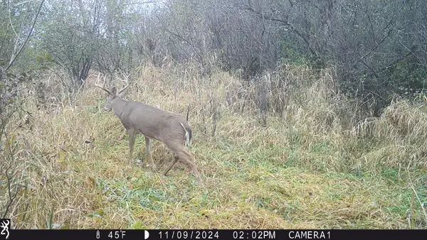 XXX 230th, Minnesota Lake, MN 56068