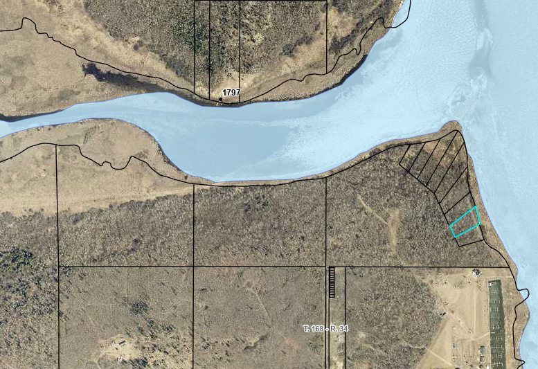 080 Youngs Bay Drive, Angle Inlet, MN 56711 - #1