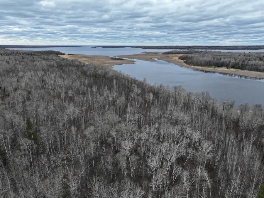 080 Youngs Bay Drive, Angle Inlet, MN 56711 - #3