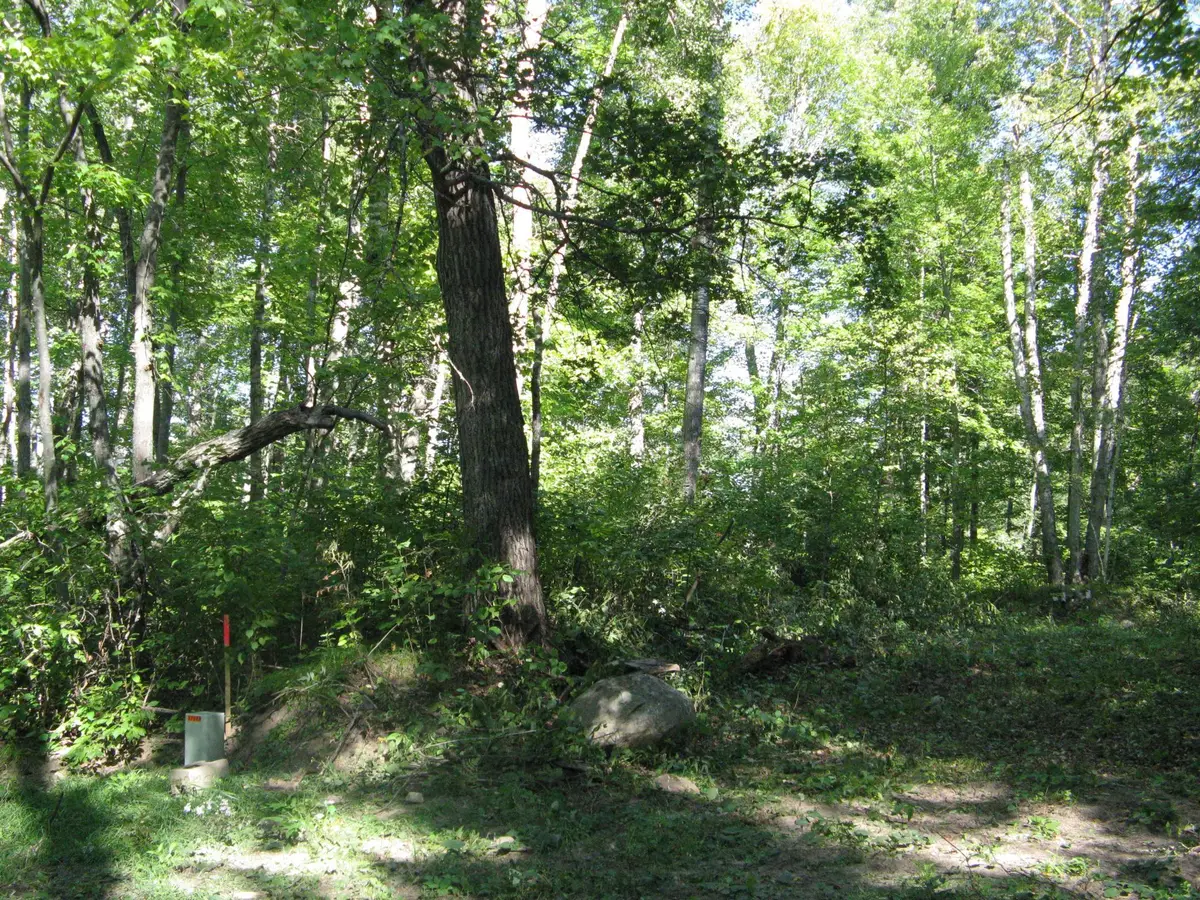 TBD Alpine Drive, Breezy Point, MN 56472 - #1