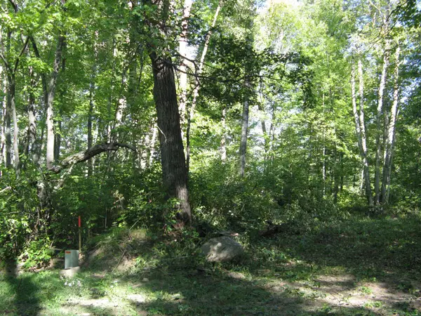 TBD Alpine Drive, Breezy Point, MN 56472