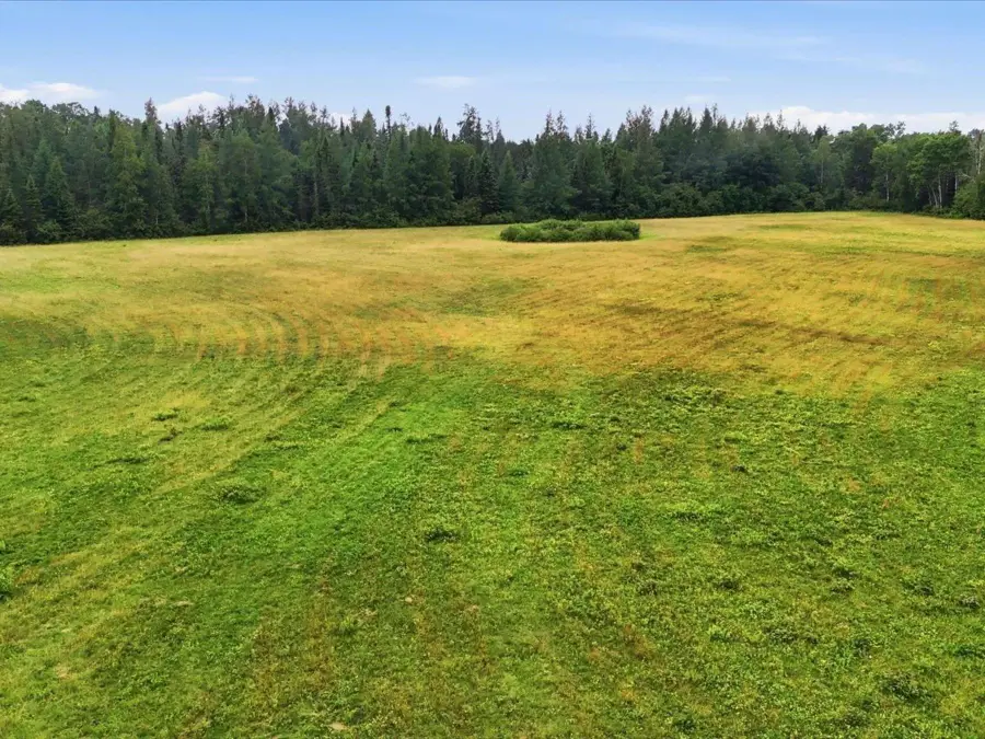 TBD 1 County Rd 904, Babbitt, MN 55706 - #2