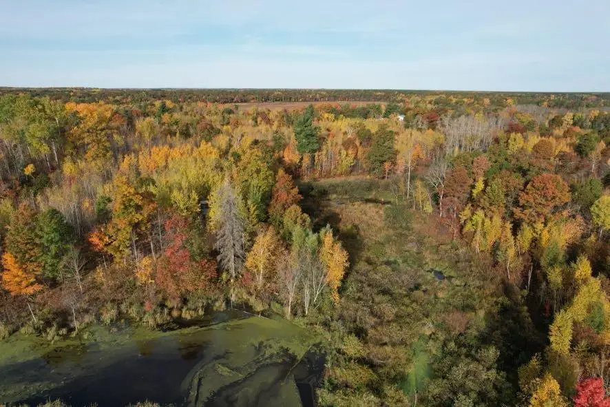 00 Highway 77, Minong, WI 54859 - #2