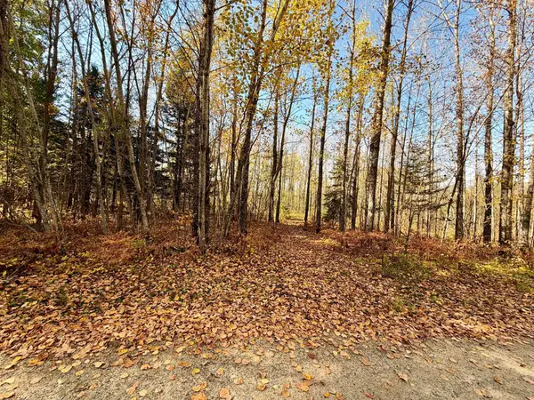 TBD County Road 303, Deer River, MN 56636