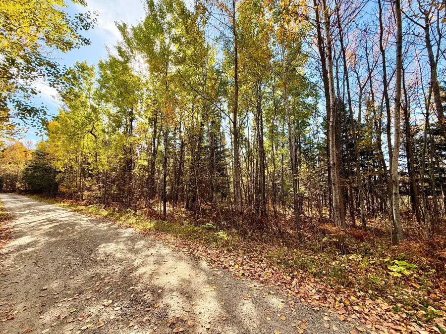 TBD County Road 303, Deer River, MN 56636 - #2