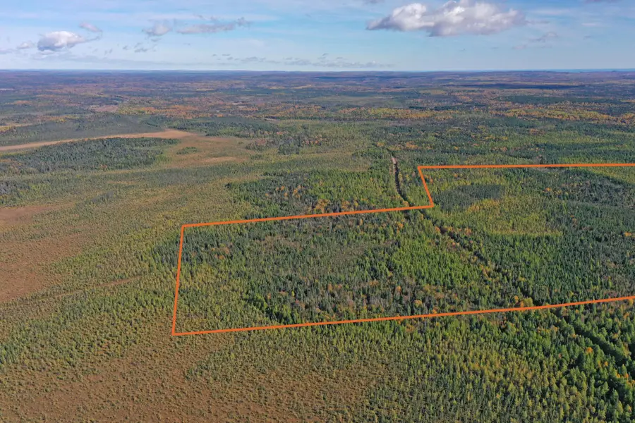 3098 Whyte Road, Two Harbors, MN 55616 - #2