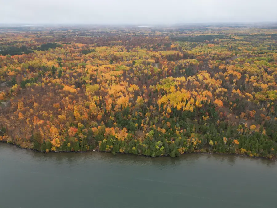 Lot 2 County Rd 39 Ne, Longville, MN 56655 - #3