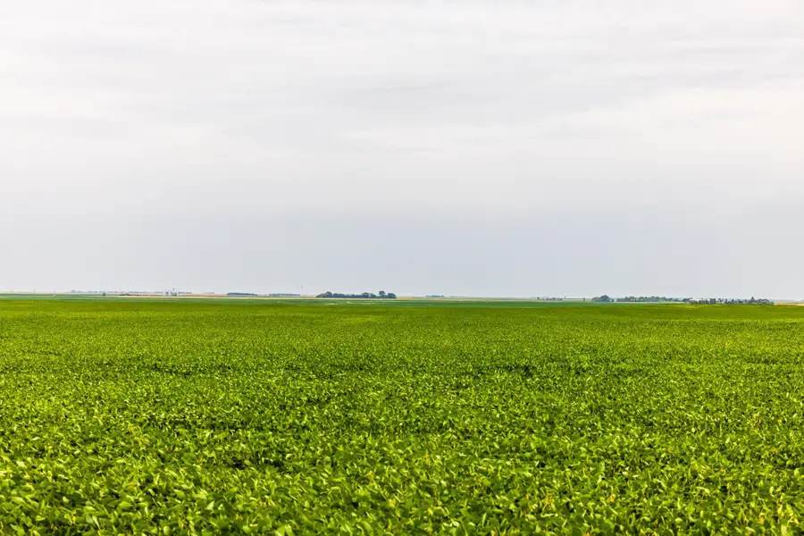 TBD 97 St Ne Lot 3, Bottineau, ND 58318 - #2