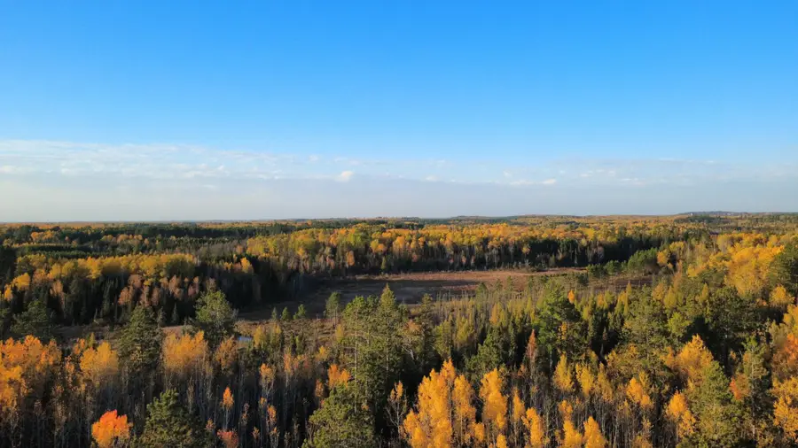 TBD40 Highway 135 N, Tower, MN 55790 - #2