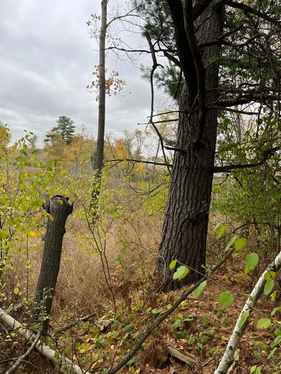 TBD Tamarack Street, Turtle Lake, WI 54889 - #2