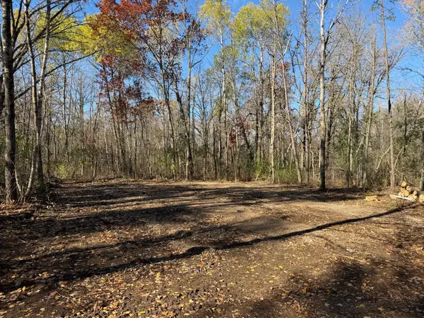 TBD Armour Pass Sw, Pillager, MN 56473