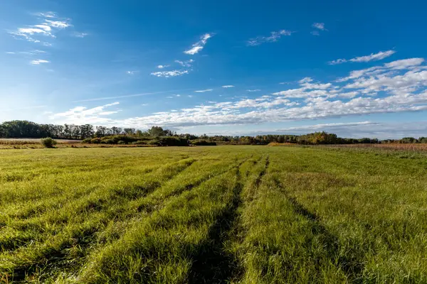 TBD 231st Avenue, Browerville, MN 56438