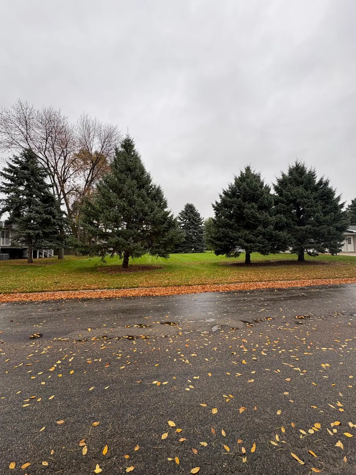 19th N 19th Street, Montevideo, MN 56265 - #1