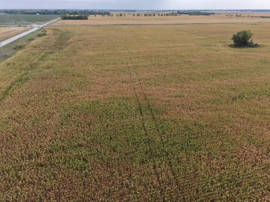 TBD County Rd 39, Borup, MN 56519 - #3