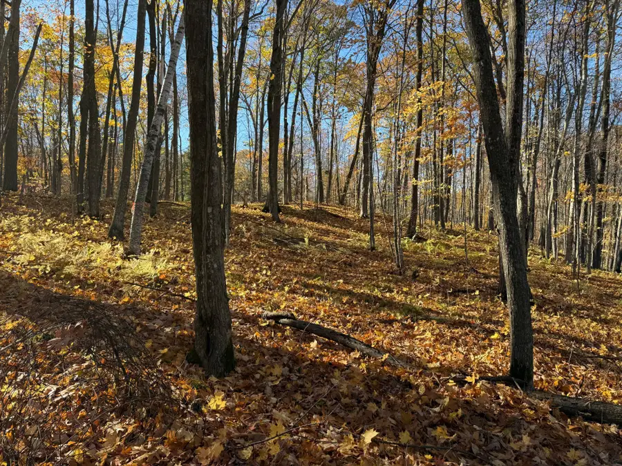 TBD County Hwy Md, Sarona, WI 54870 - #3
