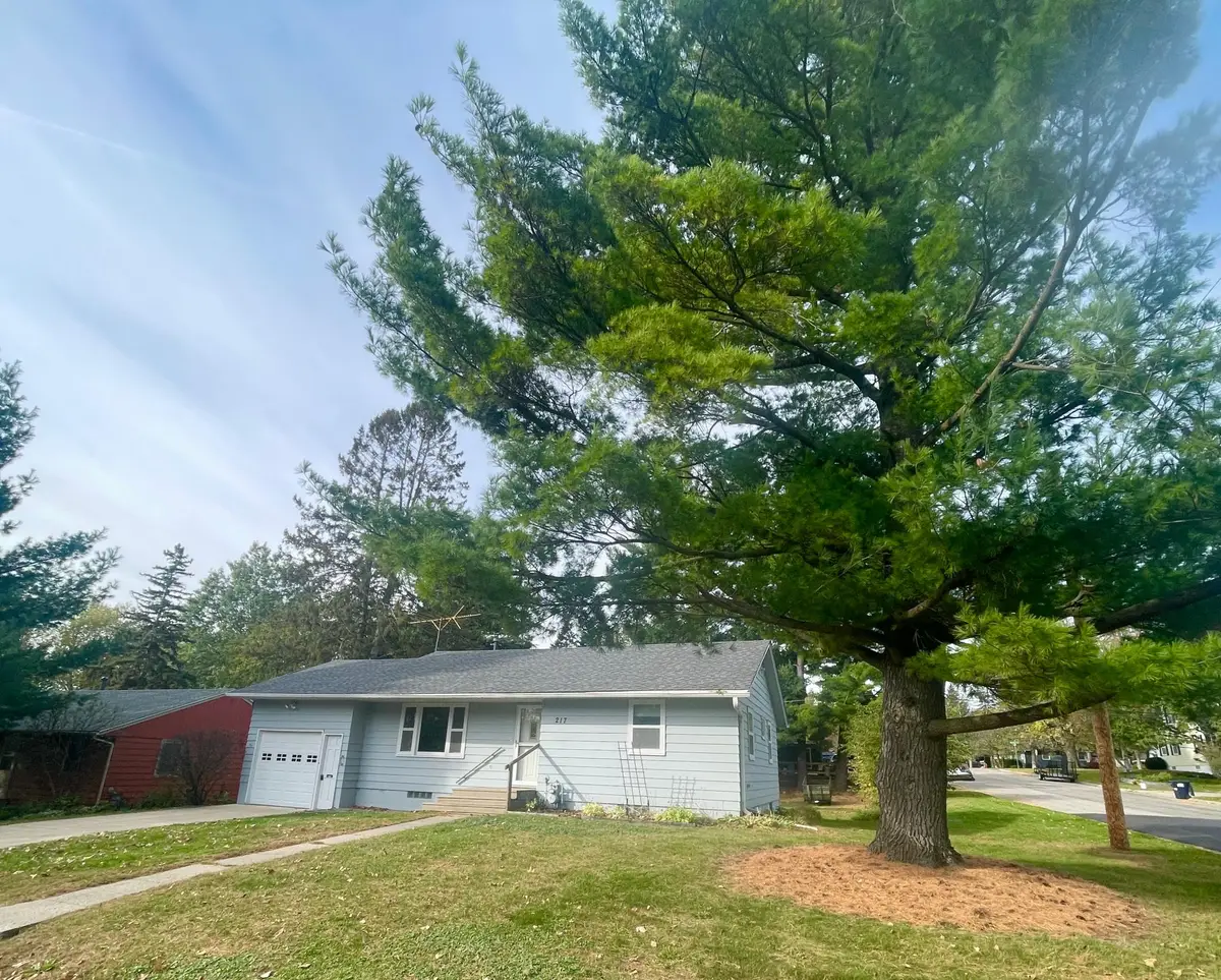 217 Orchard Street N, Northfield, MN 55057 - #1