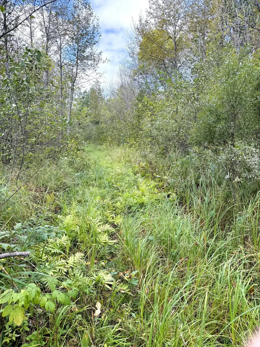 tbd Easement Trail, Barnum, MN 55707 - #2