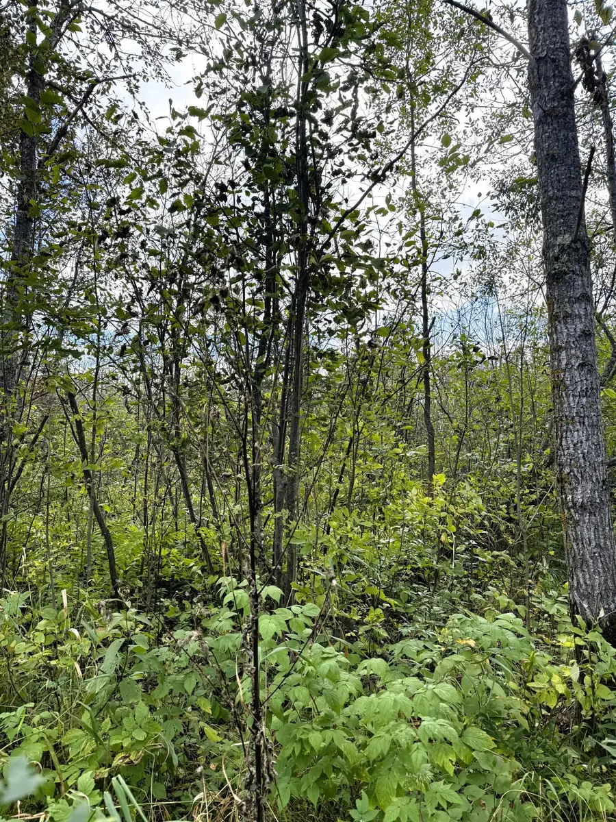 tbd Easement Trail, Barnum, MN 55707 - #3