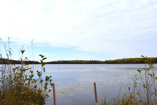 67351 Tranquility Trail, Effie, MN 56639