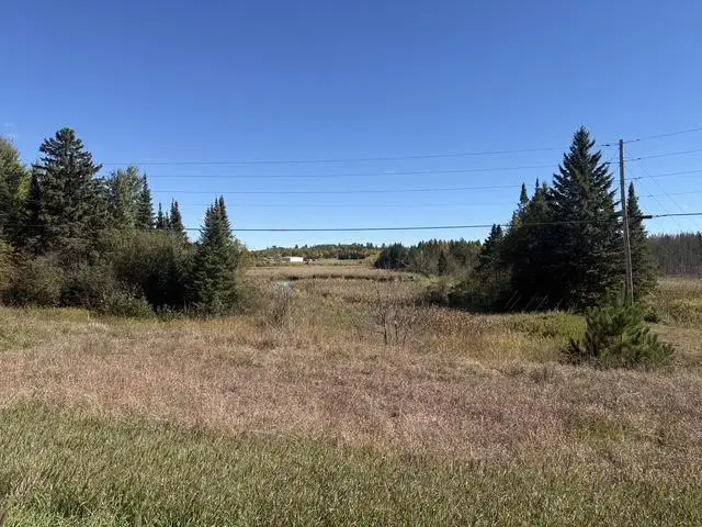 TBD Nett Lake Rd, Orr, MN 55771 - #3
