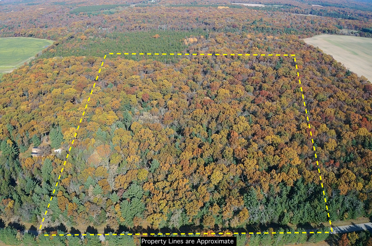 TBD Fish Drive, Grand Marsh, WI 53936 - #1