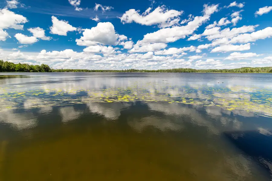 10452 Orchard Park Lane Sw, Pillager, MN 56473 - #2
