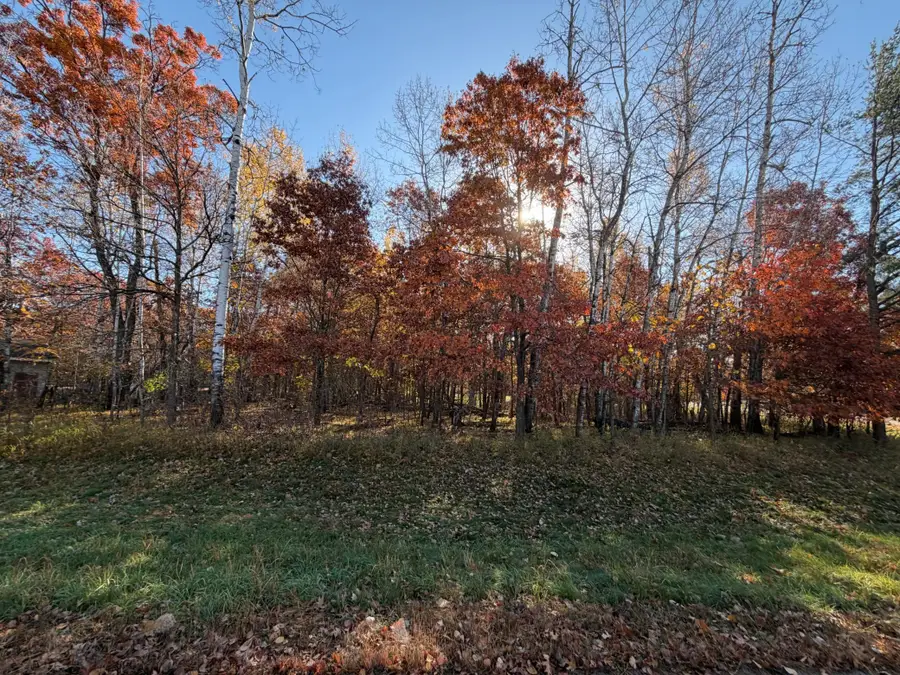 L1 B3 Paper Birch Drive, Baxter, MN 56425 - #3