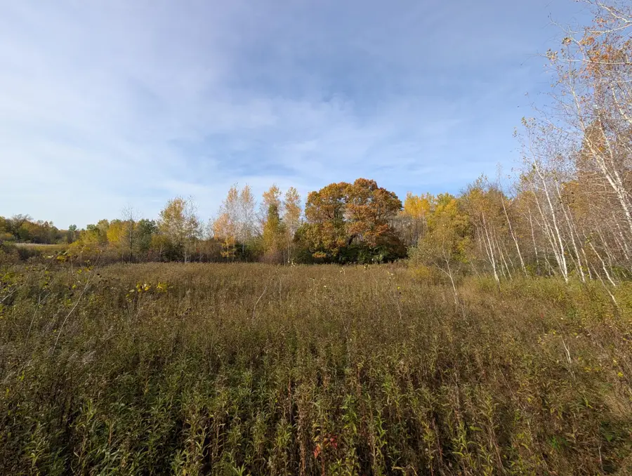 TBD 90th Avenue, Milaca, MN 56353 - #2