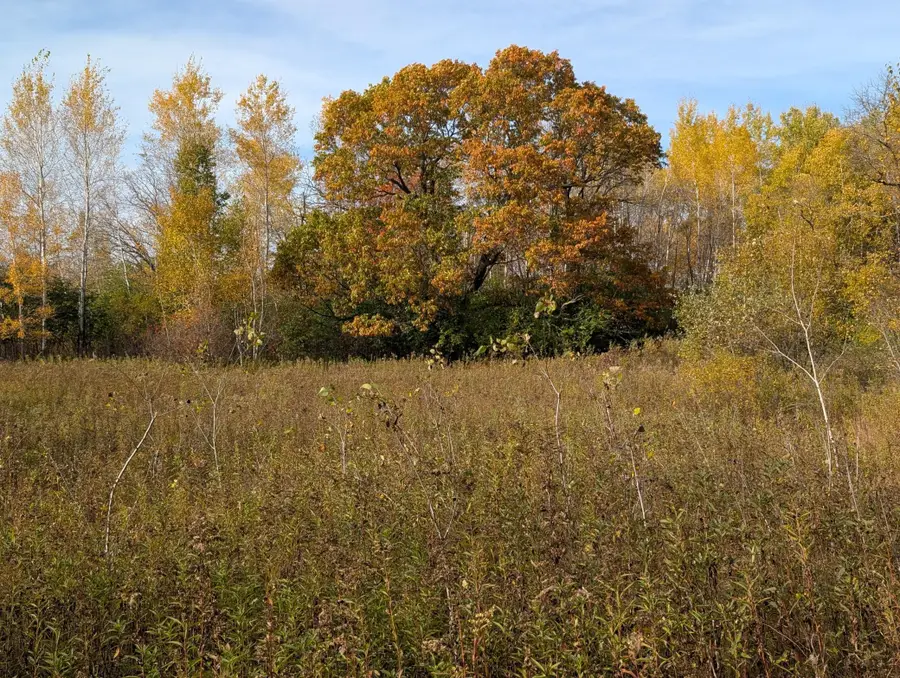 TBD 90th Avenue, Milaca, MN 56353 - #3
