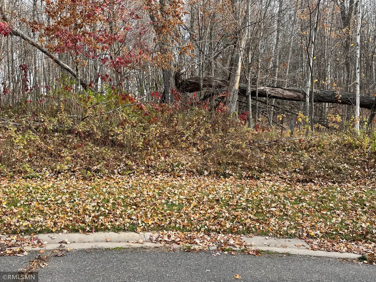 LOT 16 Wilderness Hills Lane, Luck, WI 54853 - #1
