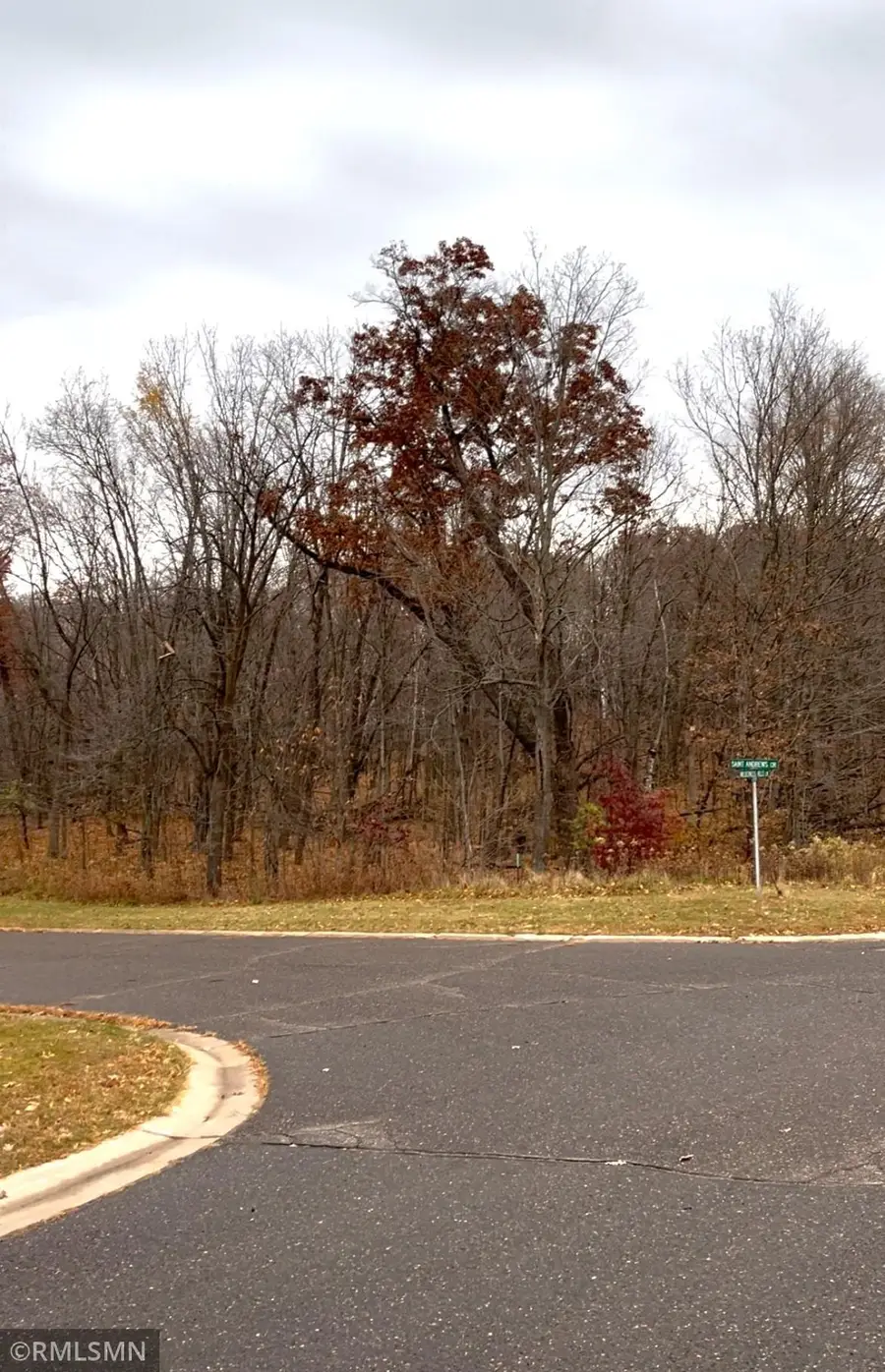 LOT 18 Wilderness Hills Lane, Luck, WI 54853 - #2