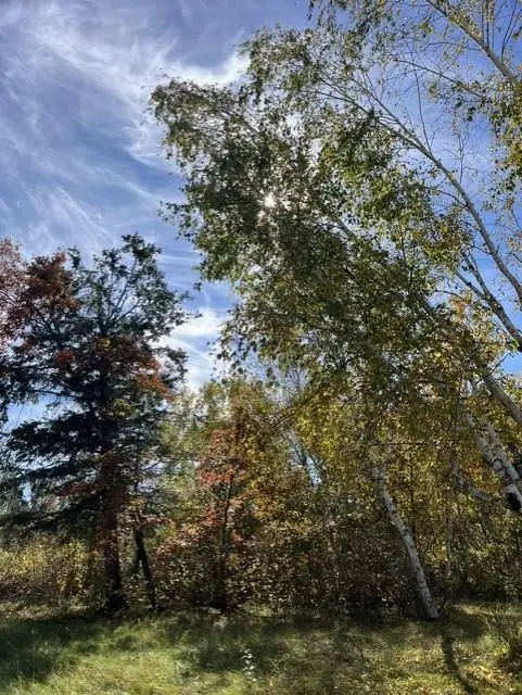 307 Popple Drive Se, Bemidji, MN 56601 - #1