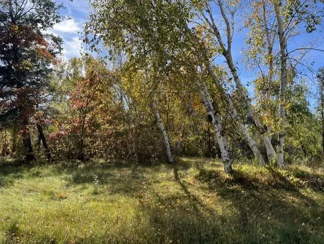307 Popple Drive Se, Bemidji, MN 56601 - #3