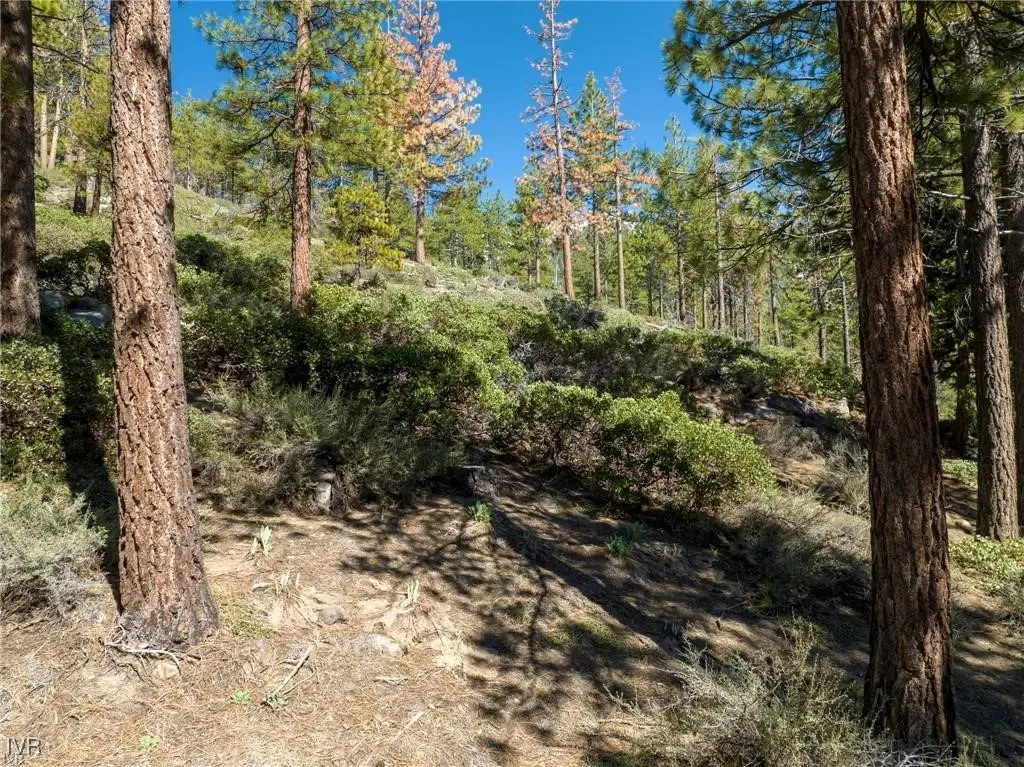 1065 Lucerne Way, Incline Village, NV 89451 - Image #1