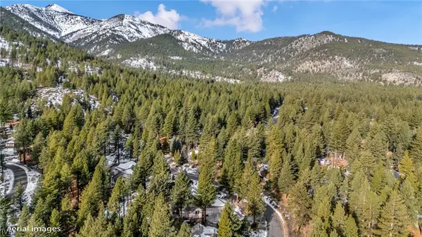 307 E Jeffrey Pine Rd, Town out of Area, NV 89511