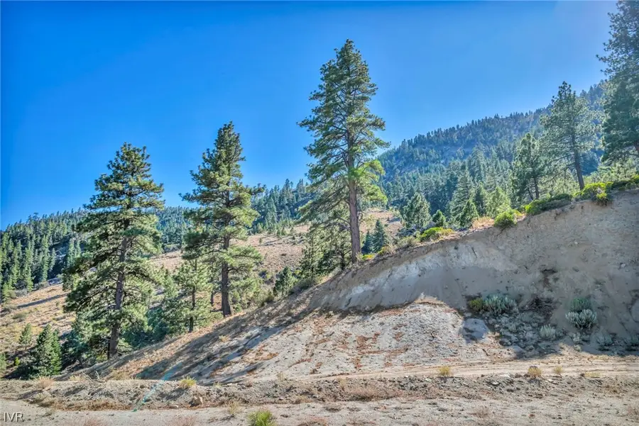 0 Jacks Valley, Genoa, NV 89411 - #3